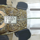 A crocodile prepares to enter the MRI scanner.